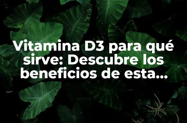 Vitamina D3 para Qué Sirve: Descubre los Beneficios de Esta Importante Vitamina
