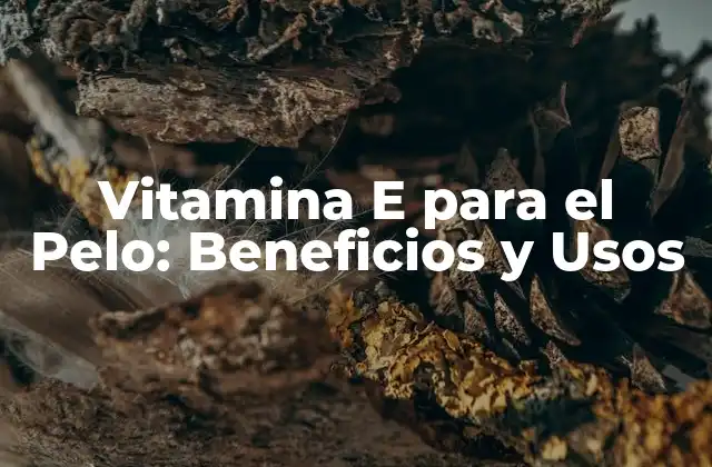 Vitamina e para el Pelo: Beneficios y Usos 2 ¿Qué hace la Vitamina E para el Pelo?
