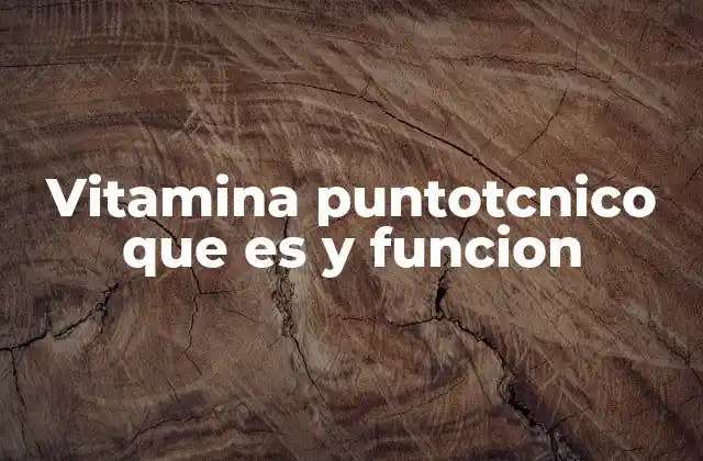 Vitamina Puntotcnico que es y Funcion