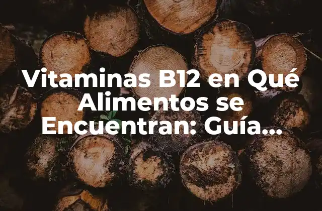 Vitaminas B12 en Qué Alimentos Se Encuentran: Guía Completa
