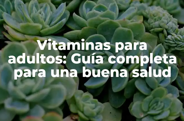 Vitaminas para Adultos: Guía Completa para una Buena Salud