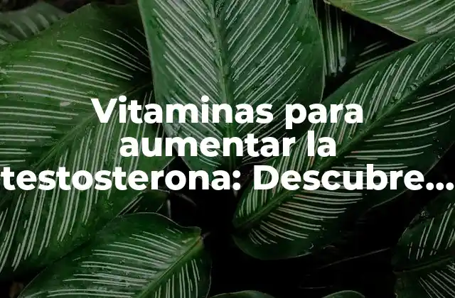 Vitaminas para Aumentar la Testosterona: Descubre las Mejores Opciones Naturales