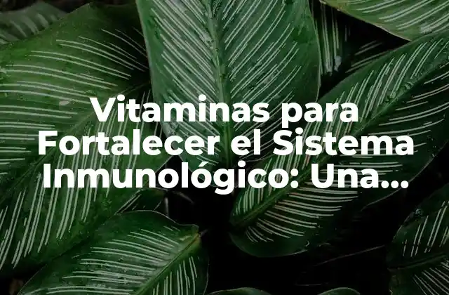 Vitaminas para Fortalecer el Sistema Inmunológico: una Guía Completa