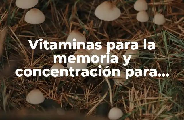 Vitaminas para la Memoria y Concentración para Adultos: Descubre las Mejores Opciones