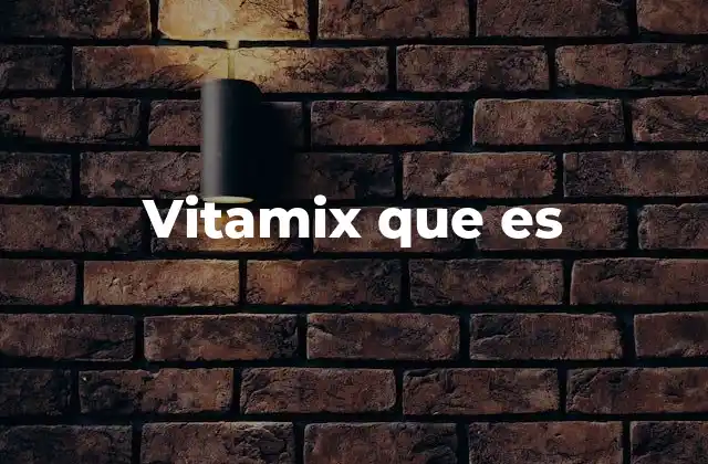 Vitamix que es