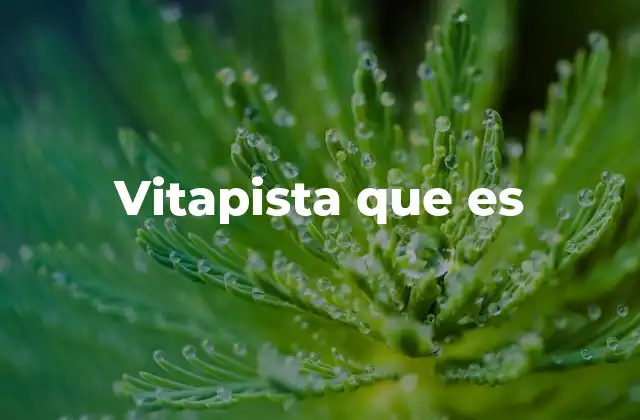 Vitapista que es