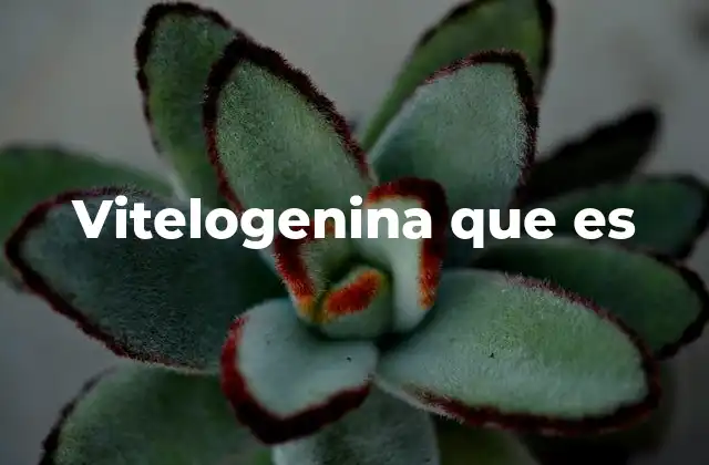 Vitelogenina que es