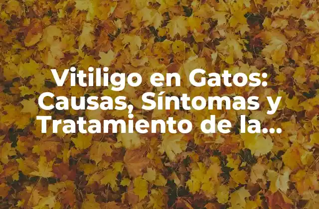 Vitiligo en Gatos: Causas, Síntomas y Tratamiento de la Enfermedad de la Piel en Felinos