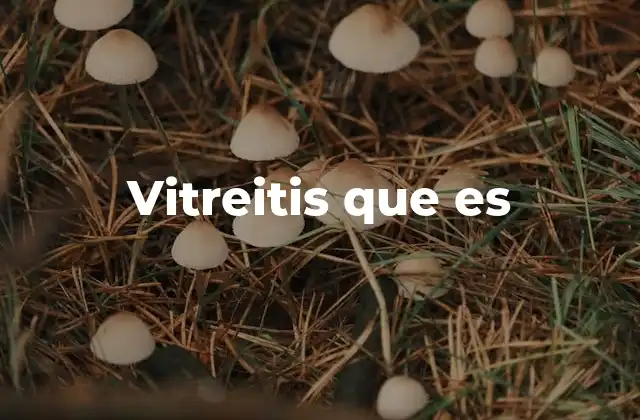 Vitreitis que es