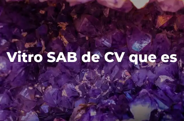 Vitro Sab de Cv que es