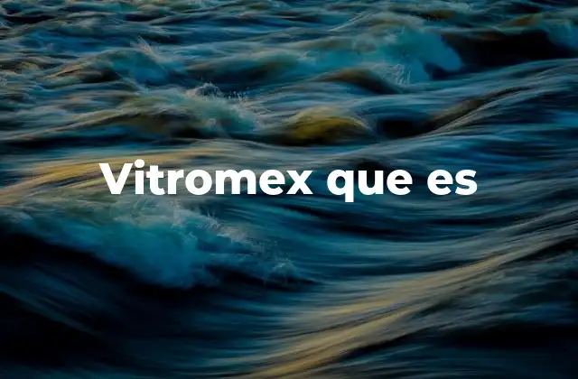 Vitromex que es