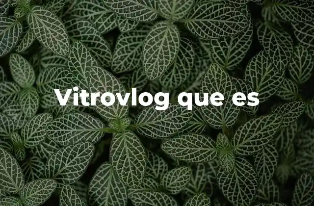 Vitrovlog que es