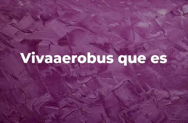 Vivaaerobus que es