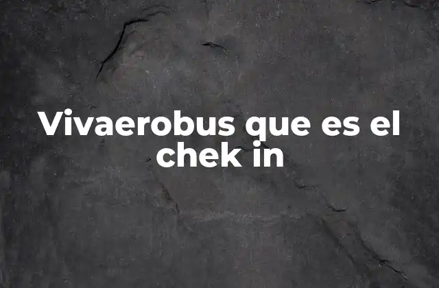 Vivaerobus que es el Chek In
