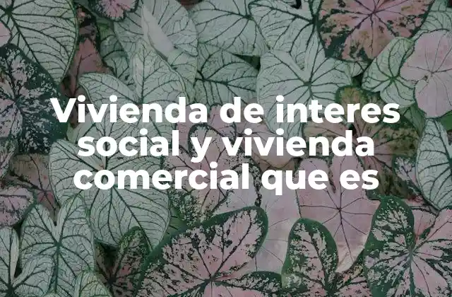Diferencias entre los dos tipos de vivienda y su impacto en el mercado inmobiliario