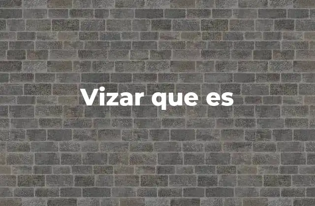 Vizar que es