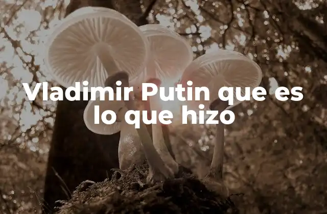 Vladimir Putin que es Lo que Hizo