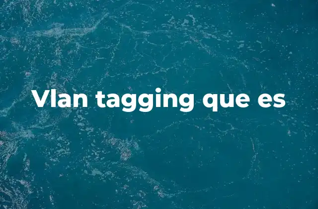 Vlan Tagging que es