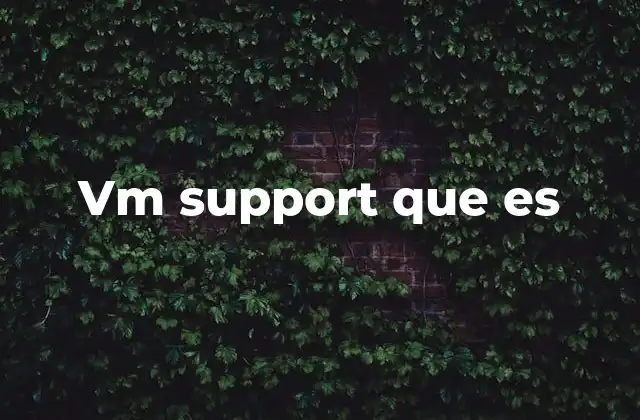 Vm Support que es