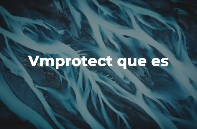 Vmprotect que es