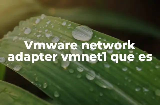 Vmware Network Adapter Vmnet1 que es