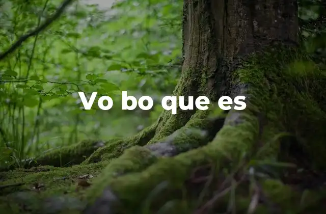 Vo Bo que es