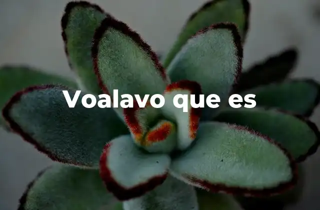 Voalavo que es