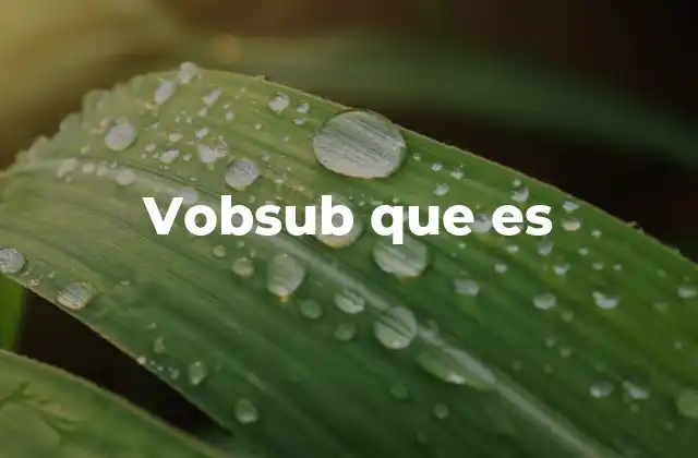 Vobsub que es