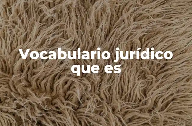 Vocabulario Jurídico que es