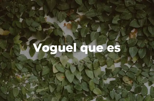 Voguel que es 2 La confusión entre idiomas en expresiones como voguel que es
