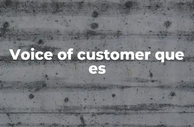 Voice Of Customer que es