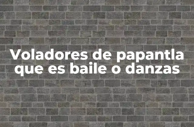 La fusión de lo ancestral y lo artístico en los voladores de Papantla