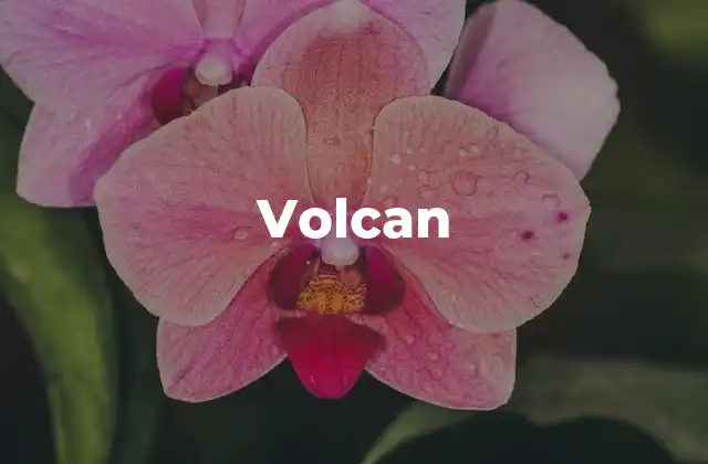 Volcan 2 El papel de los volcanes en la geología terrestre