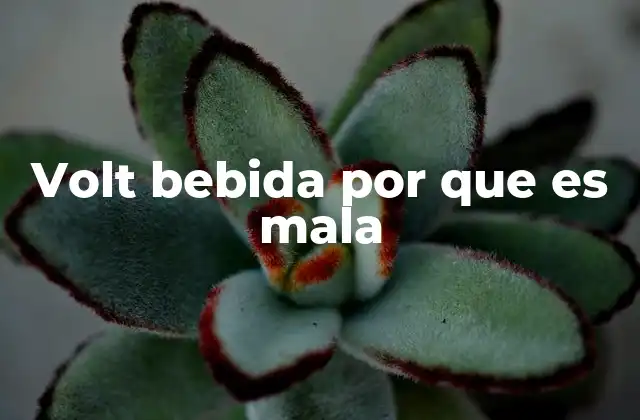 Volt Bebida por que es Mala 2 Los riesgos de consumir bebidas energizantes como Volt