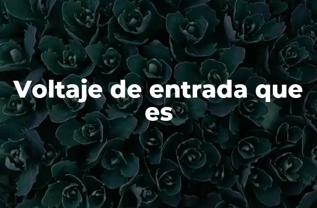 Voltaje de Entrada que es