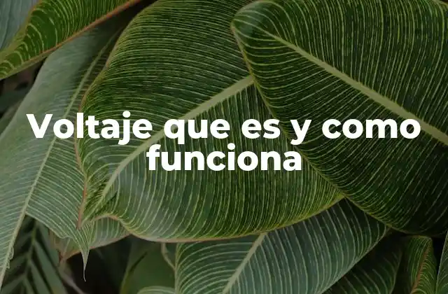 El papel del voltaje en los circuitos eléctricos