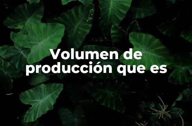 La relación entre volumen de producción y eficiencia empresarial