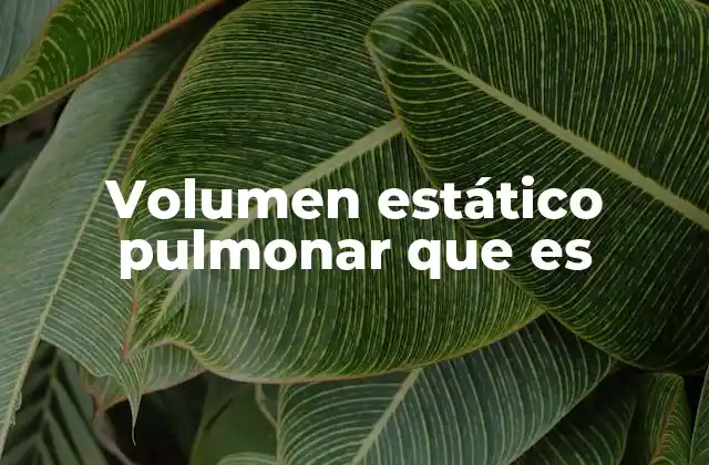 Volumen Estático Pulmonar que es