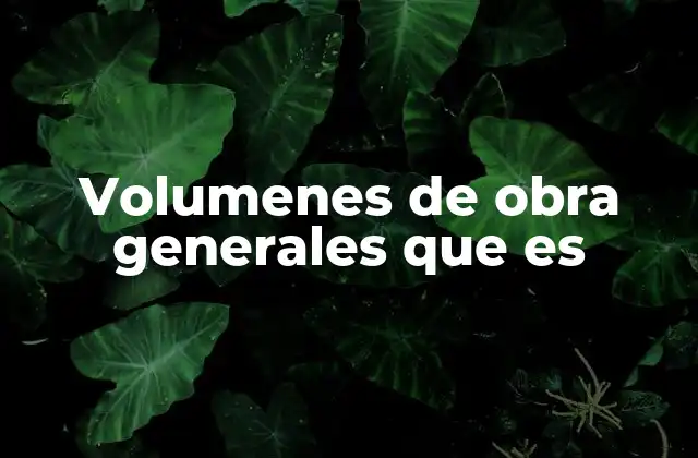Volumenes de Obra Generales que es