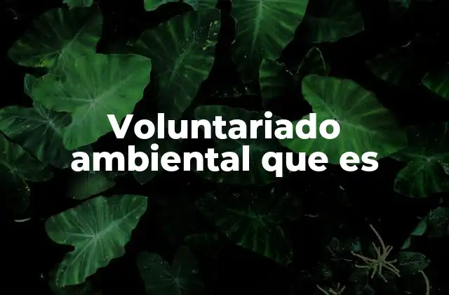 Voluntariado Ambiental que es