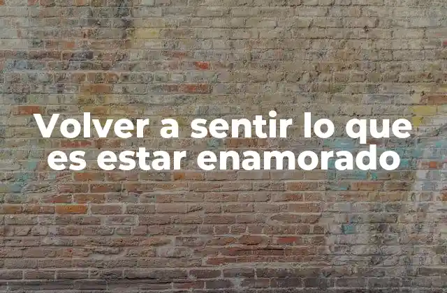 Volver a Sentir Lo que es Estar Enamorado