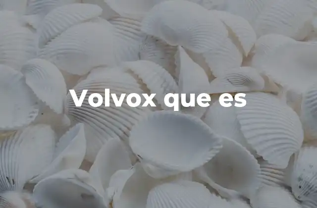Volvox que es