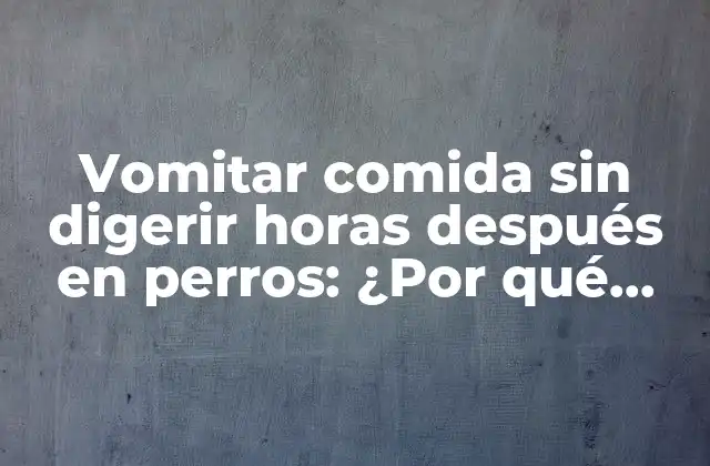 Vomitar Comida sin Digerir Horas Después en Perros: ¿por Qué Ocurre y Cómo Prevenirlo?