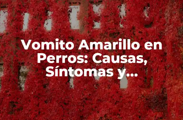 Vomito Amarillo en Perros: Causas, Síntomas y Tratamiento 16 Causas del Vomito Amarillo en Perros