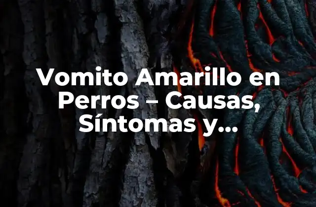 Vomito Amarillo en Perros - Causas, Síntomas y Tratamiento 2 ¿Qué Causa el Vomito Amarillo en Perros?