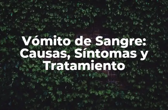 Vómito de Sangre: Causas, Síntomas y Tratamiento