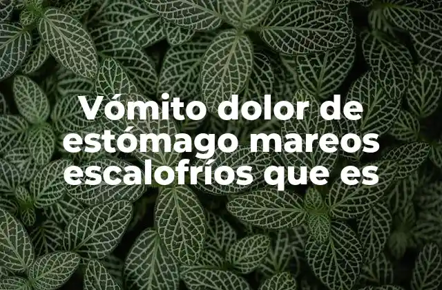 Vómito Dolor de Estómago Mareos Escalofríos que es