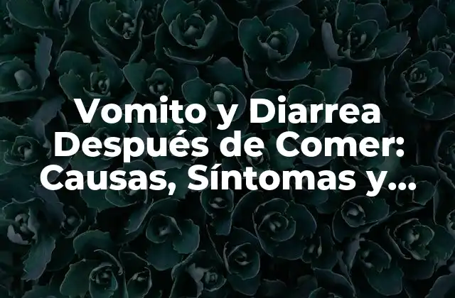 Vomito y Diarrea Después de Comer: Causas, Síntomas y Tratamientos