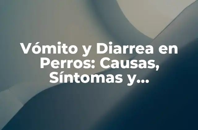 Vómito y Diarrea en Perros: Causas, Síntomas y Tratamiento 2 Causas del Vómito y Diarrea en Perros