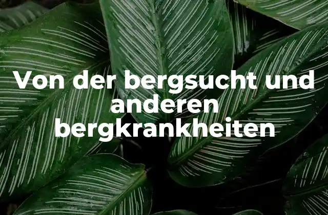 Von Der Bergsucht Und Anderen Bergkrankheiten